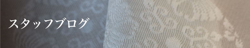 スタッフブログ